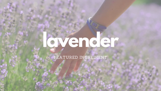 Transform Your Skin with the Anti-Inflammatory Properties of Lavender